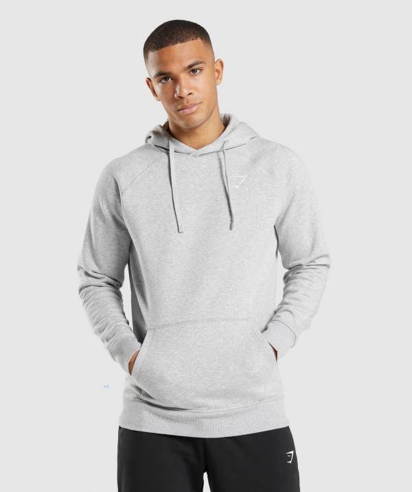 Panske Mikiny S Kapucňou Gymshark Crest Svetlo Siva | HF4350276